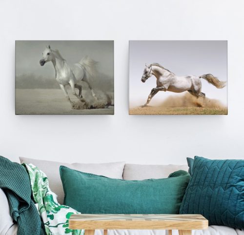 Canvas Prints